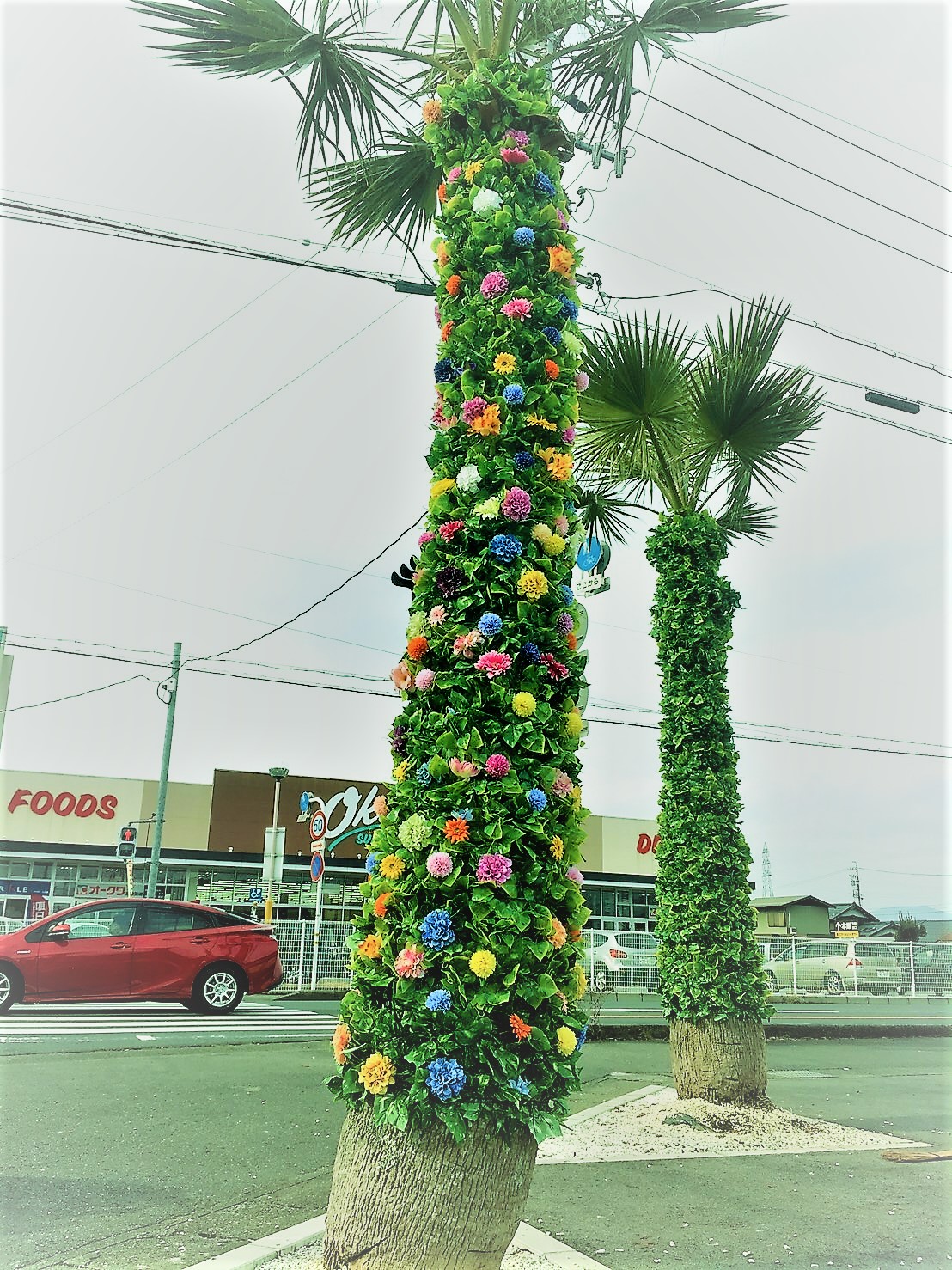 今井建築 イマイホーム 新築 外構