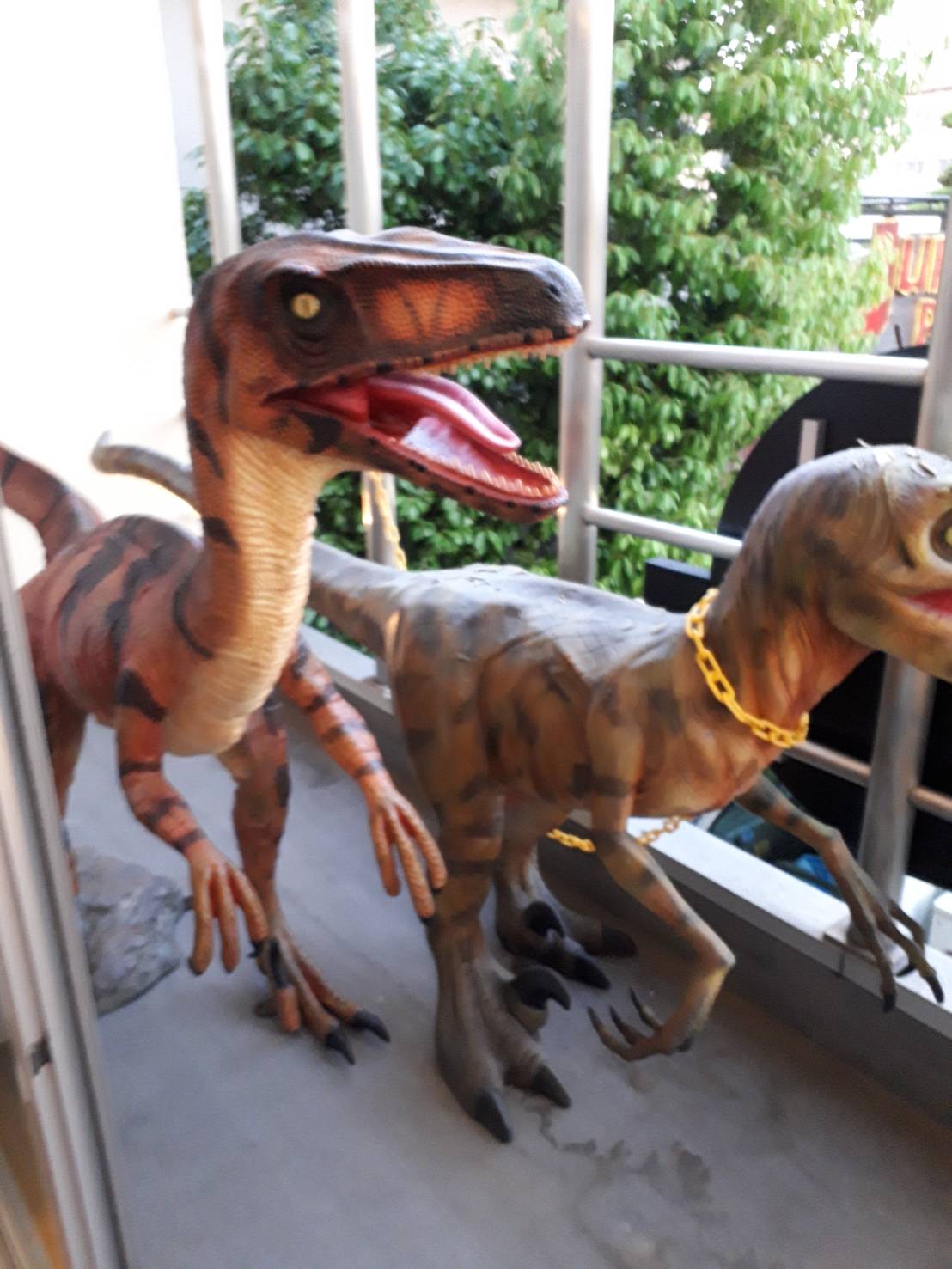 岐阜 新築 イマイホーム imihome 今井建築